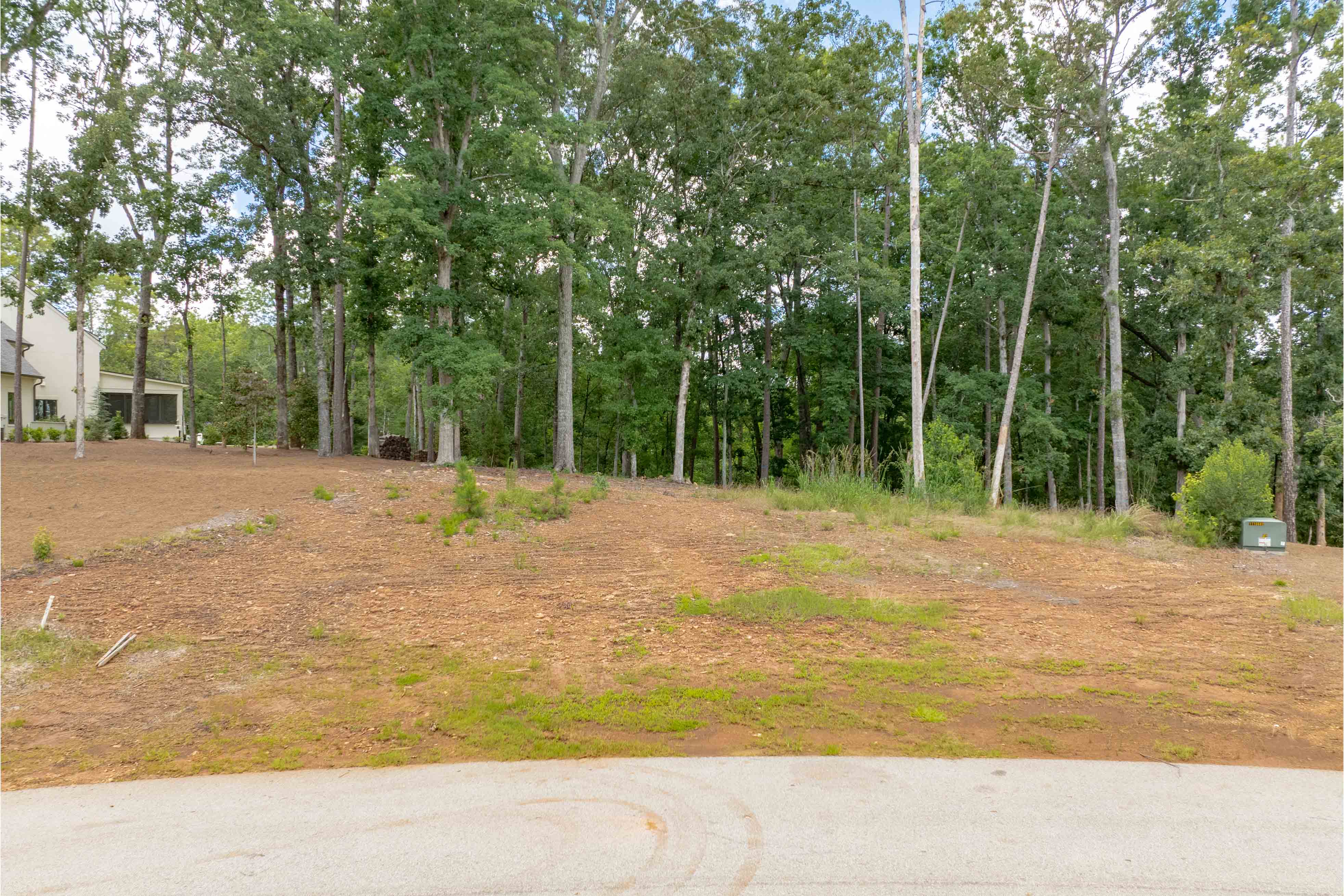1100 High Bluff Lane image 3